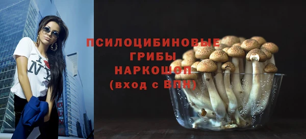 молекула духа Алексин