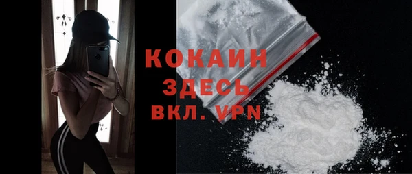 молекула духа Алексин