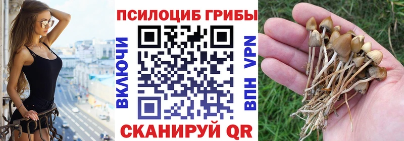 Галлюциногенные грибы мухоморы  купить наркотик  Амурск 